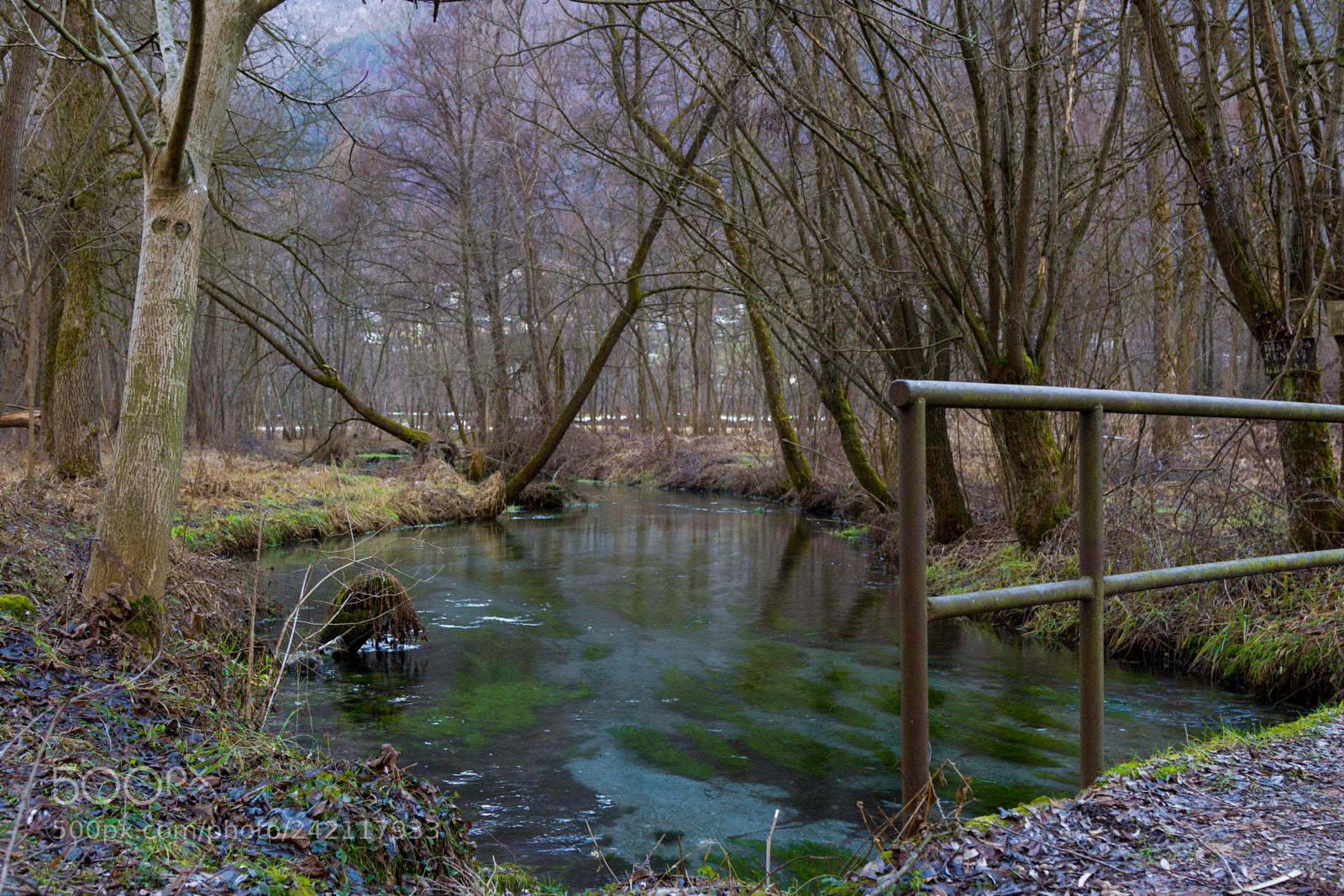 Canon EOS 100D (EOS Rebel SL1 / EOS Kiss X7) sample photo. Bridge over a river photography