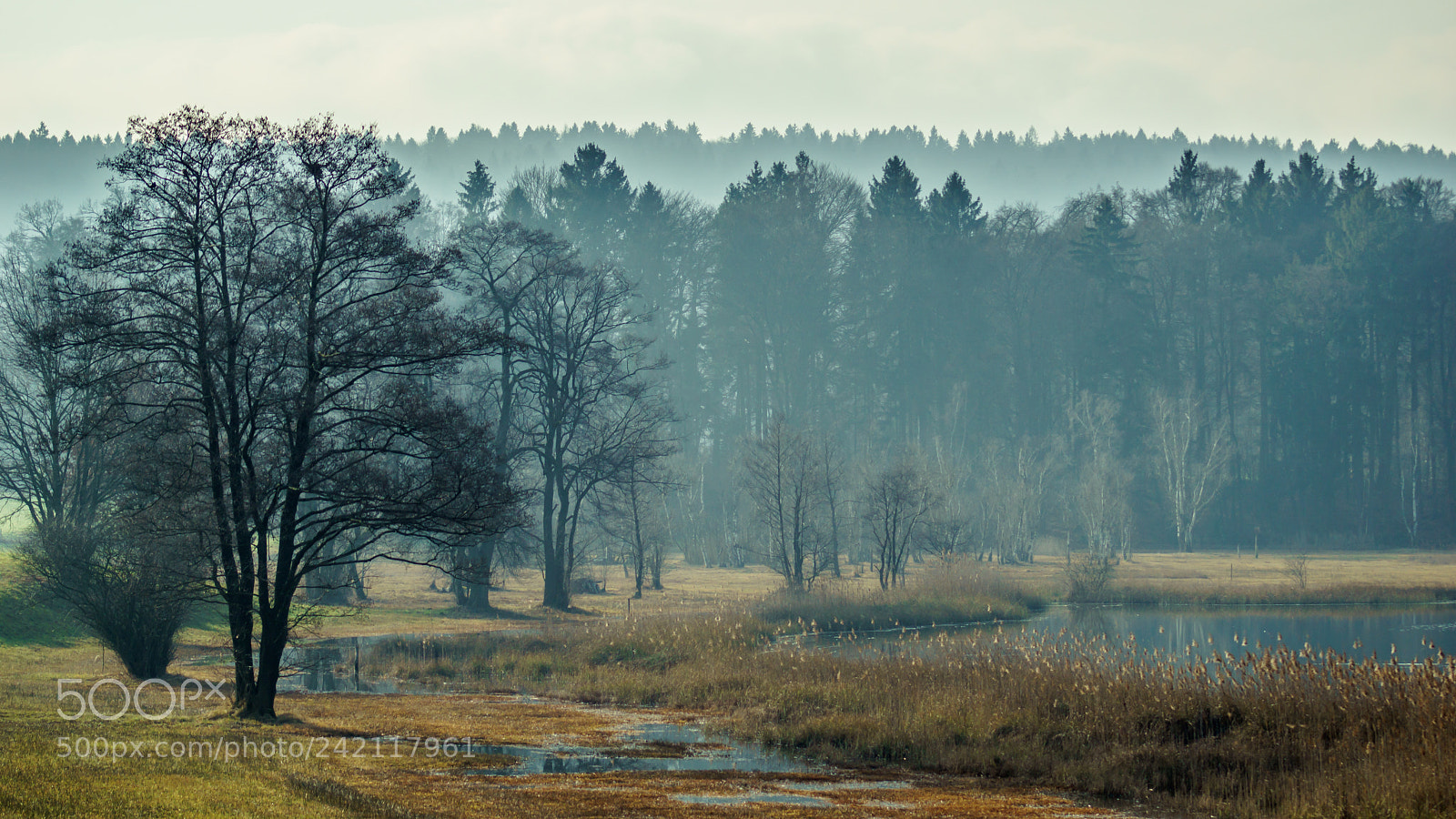 Sony ILCA-77M2 sample photo. Mystic wetland photography