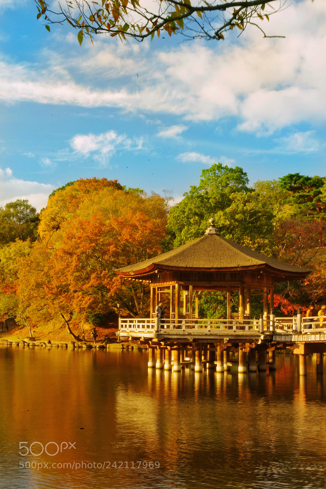 Pentax K-70 sample photo. Nara park photography