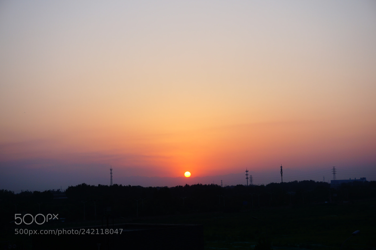 Sony a5100 sample photo. Untitled photography