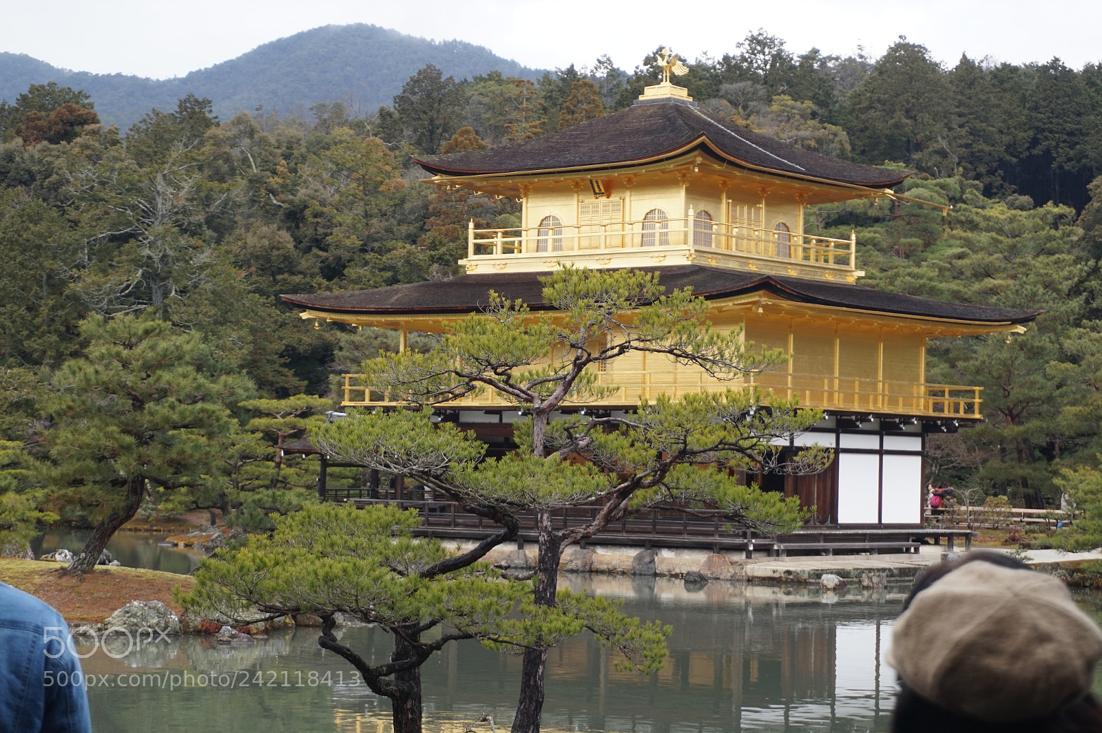 Sony Alpha a5000 (ILCE 5000) sample photo. Dsc photography