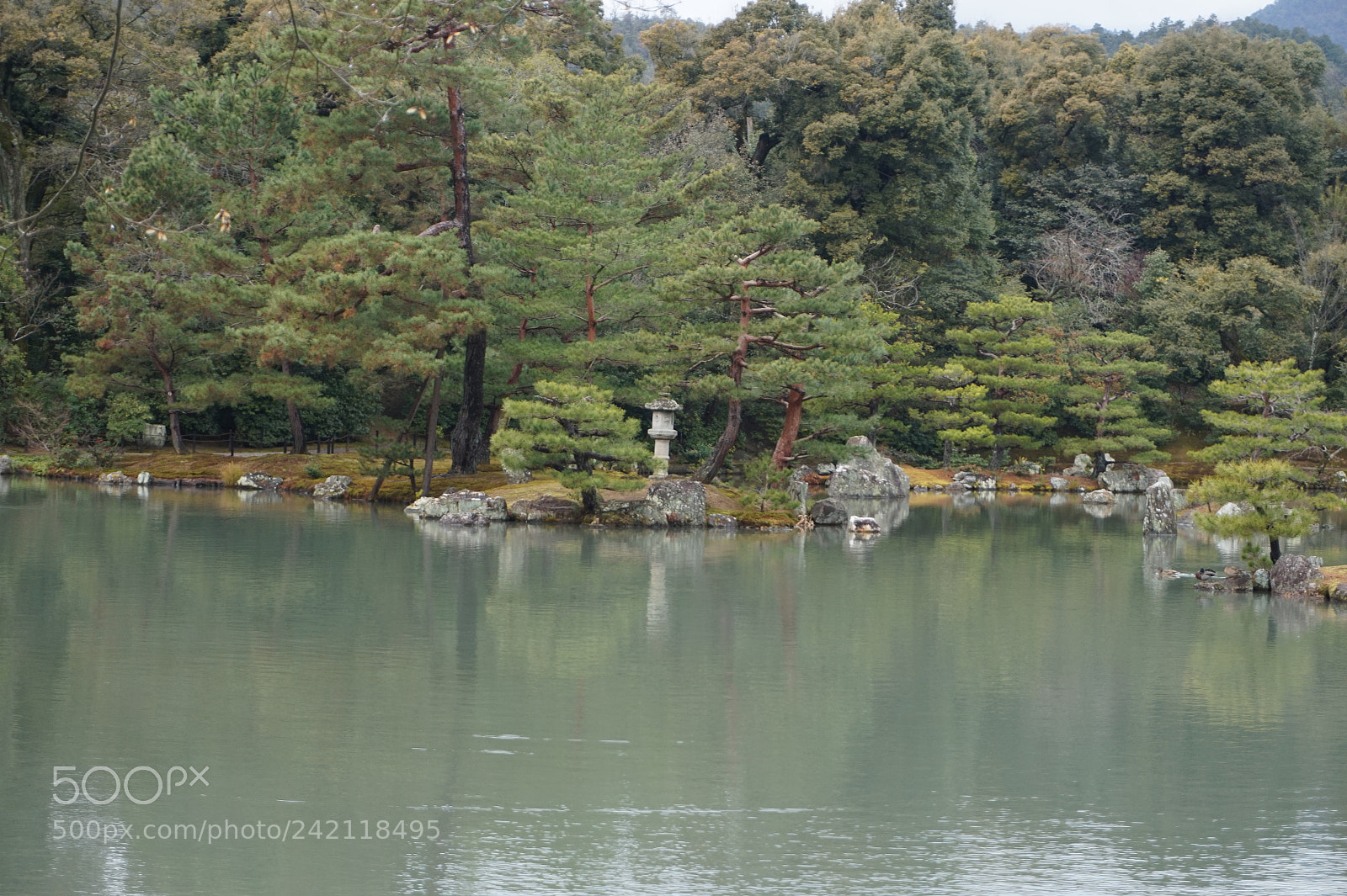 Sony Alpha a5000 (ILCE 5000) sample photo. Dsc photography