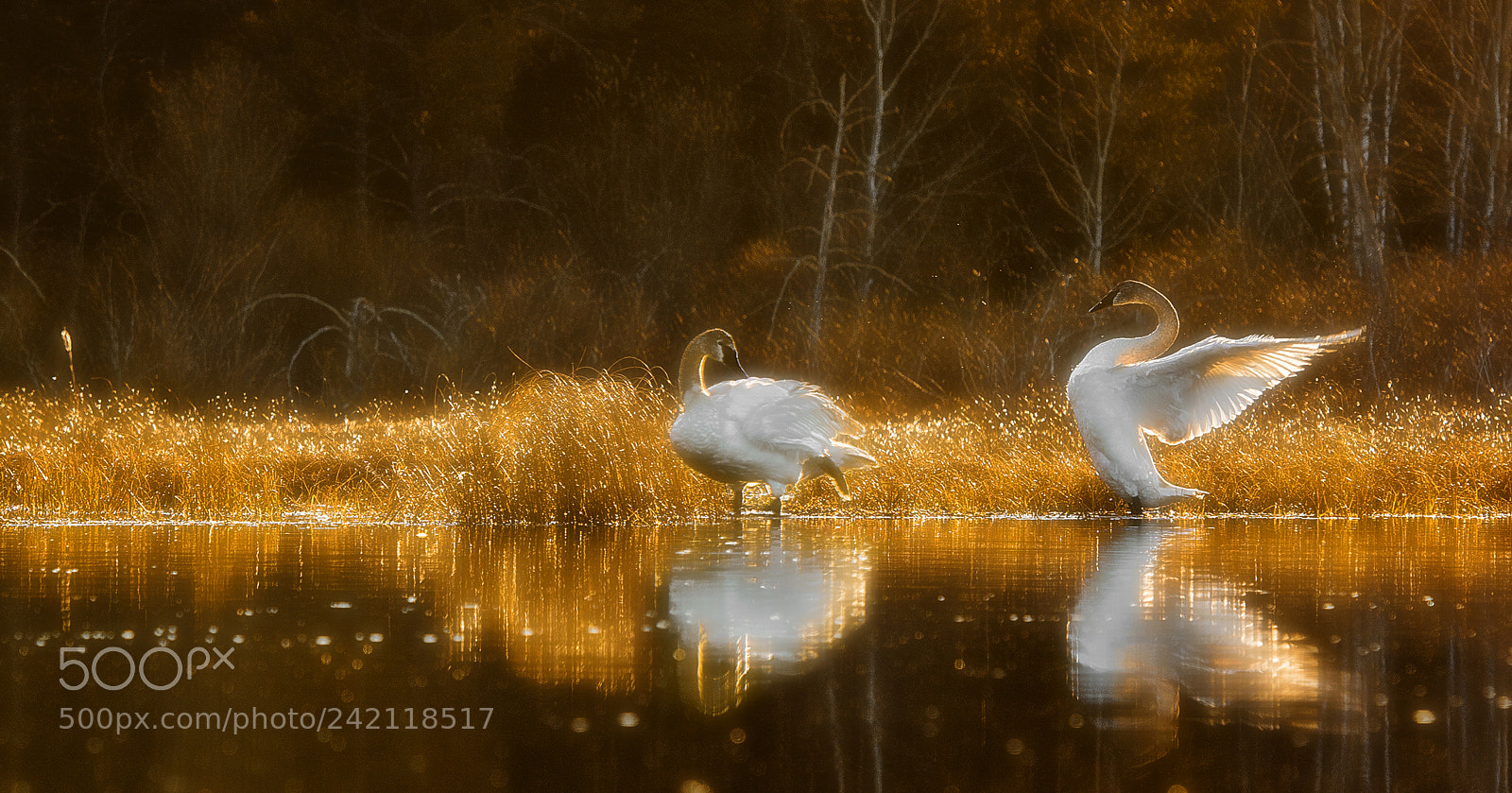 Nikon D810 sample photo. Showing off photography