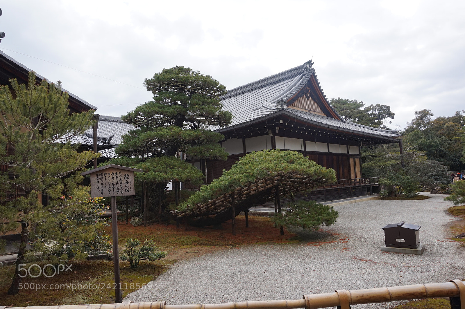 Sony Alpha a5000 (ILCE 5000) sample photo. Dsc photography