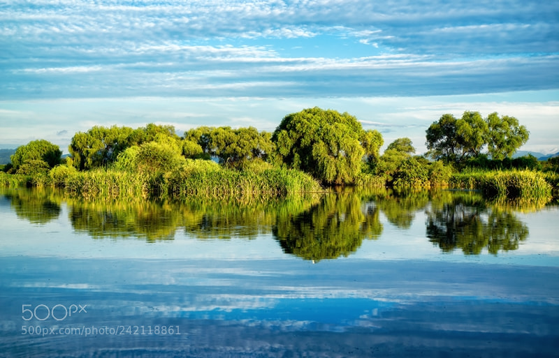 Sony a7R sample photo. Wetland photography