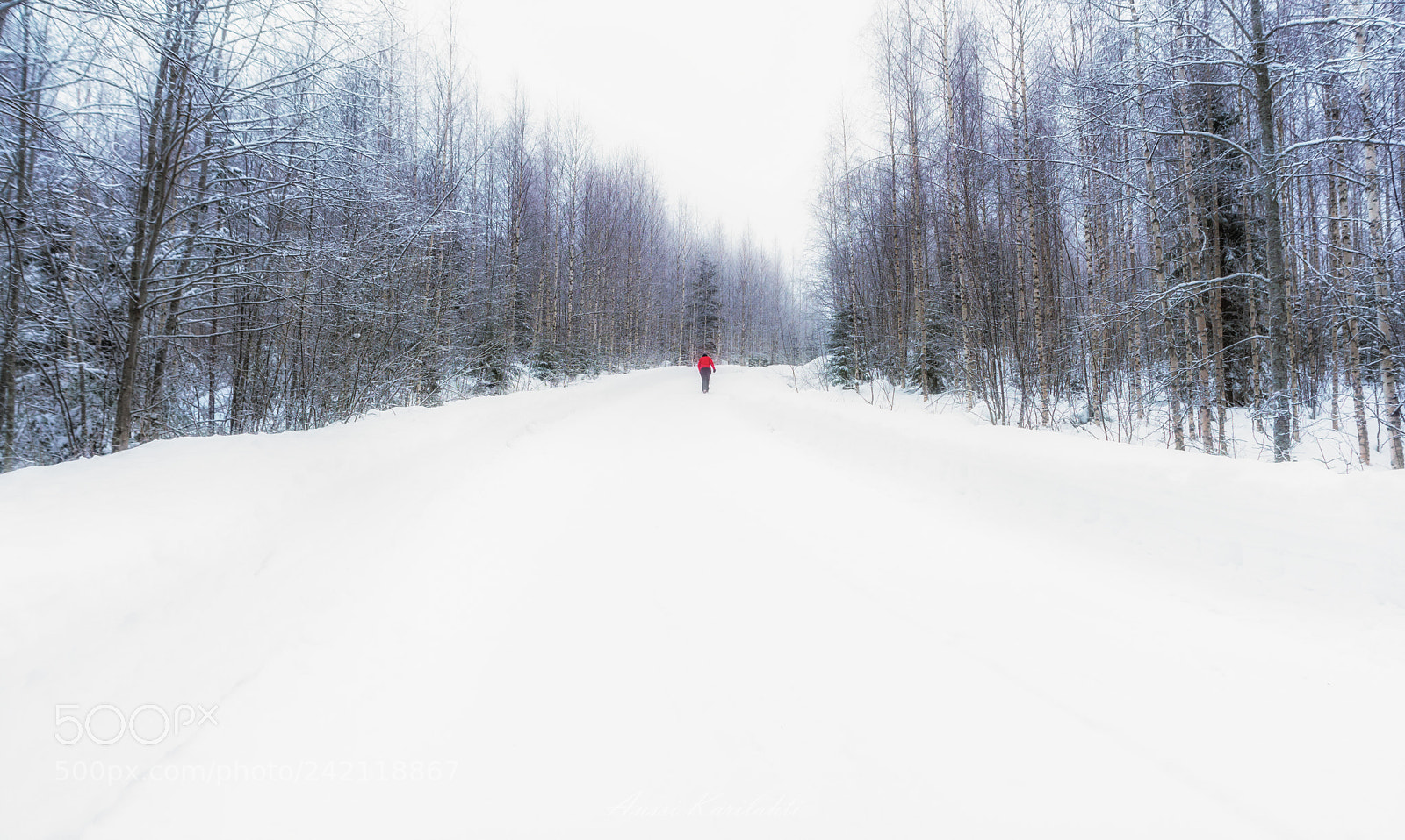 Nikon D600 sample photo. White road photography