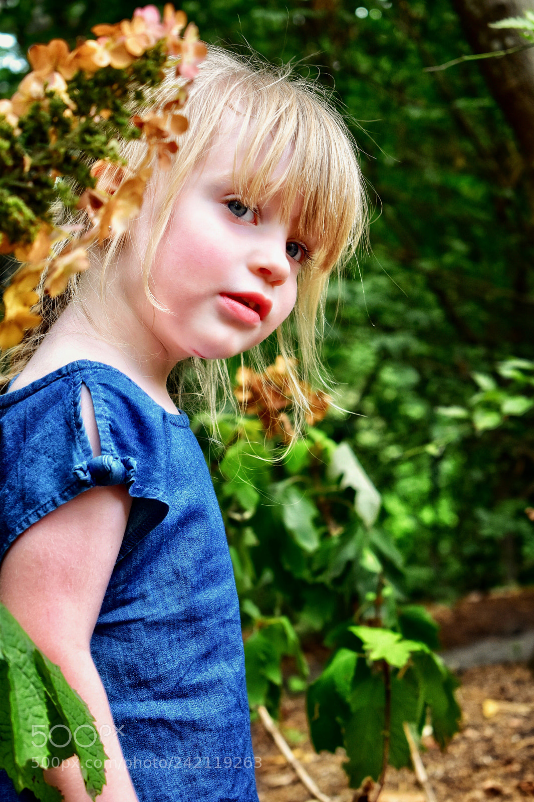 Nikon D5600 sample photo. Peeking around the bushes photography
