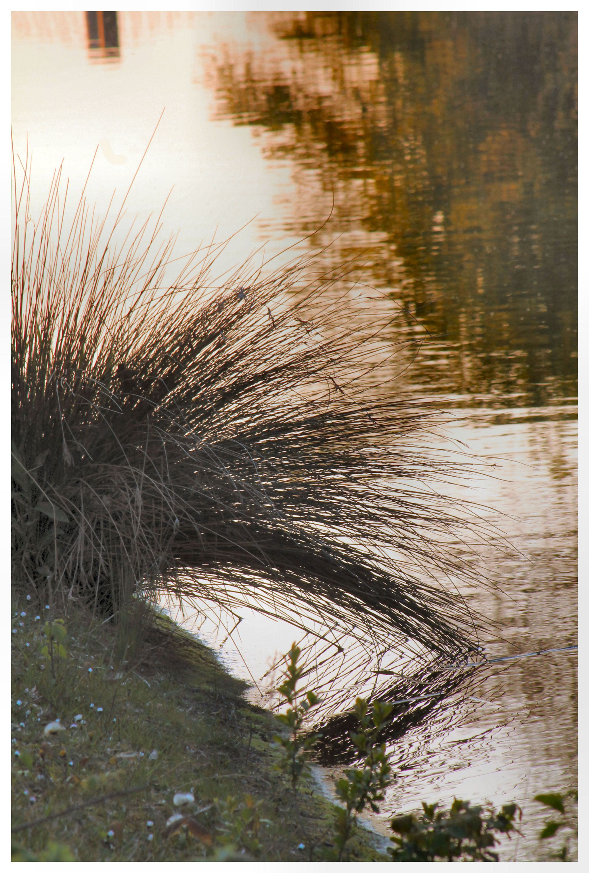 Canon EOS 1100D (EOS Rebel T3 / EOS Kiss X50) + EF75-300mm f/4-5.6 sample photo. Veerse meer photography