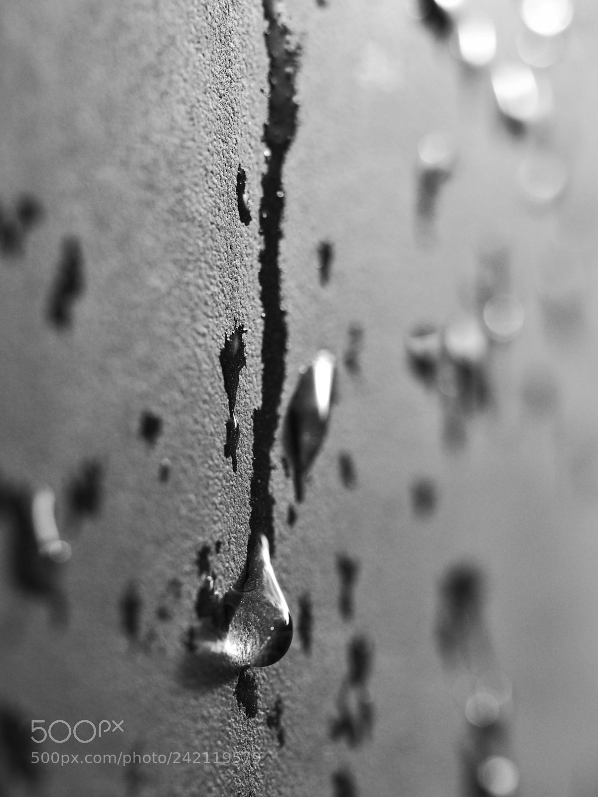 Olympus OM-D E-M10 II sample photo. Raindrops photography