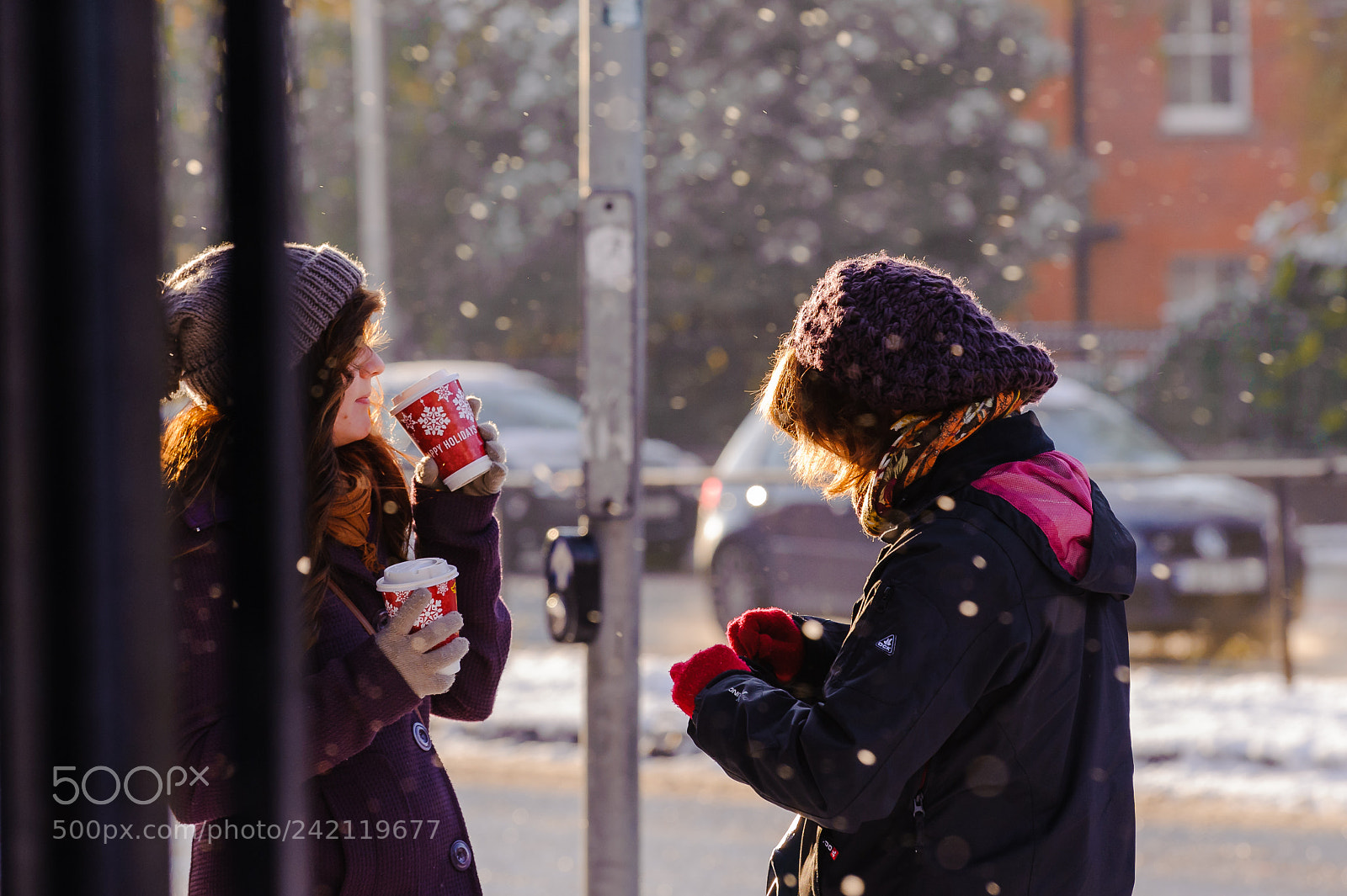 Nikon D700 sample photo. Winter warmers photography