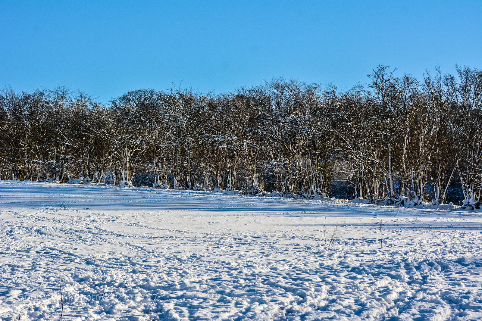 Nikon D7100 sample photo. Snow in the berecon photography