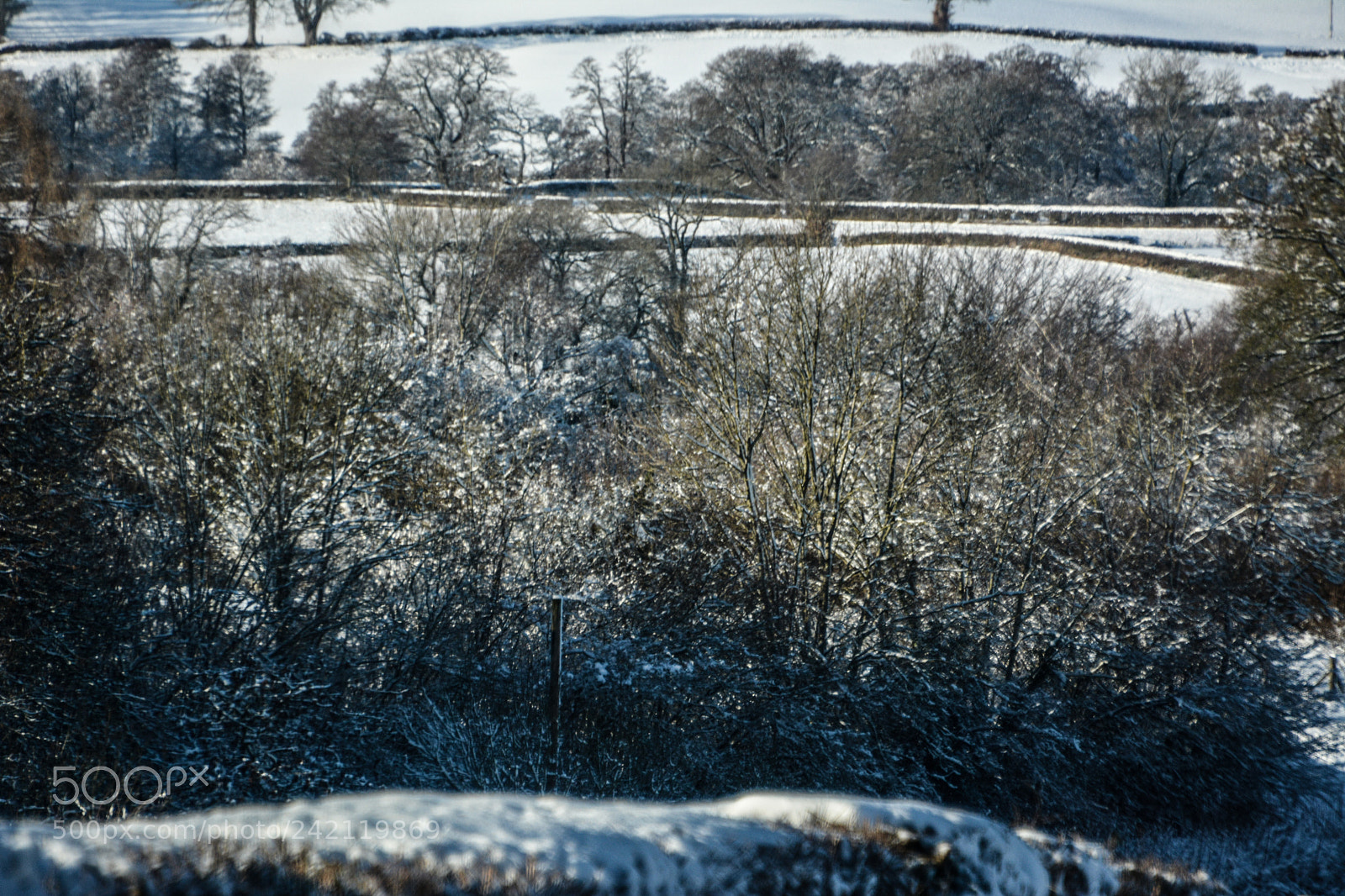 Nikon D7100 sample photo. Snow in the berecon photography