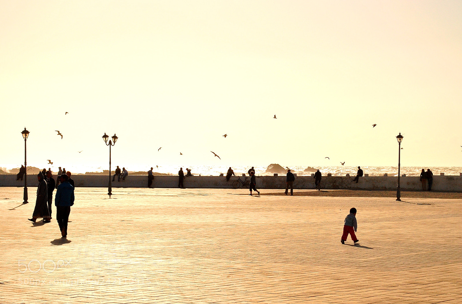 Nikon D3000 sample photo. Melancholy mood photography