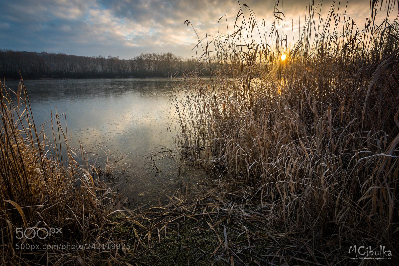 Sony a7R sample photo. After sunrise photography