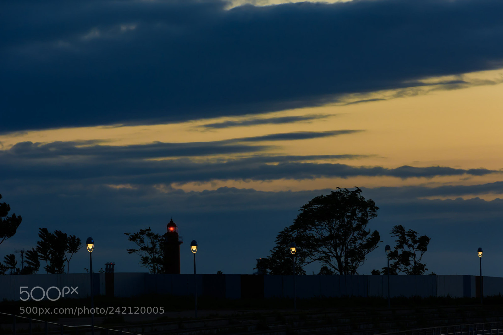 Nikon D7100 sample photo. ... photography