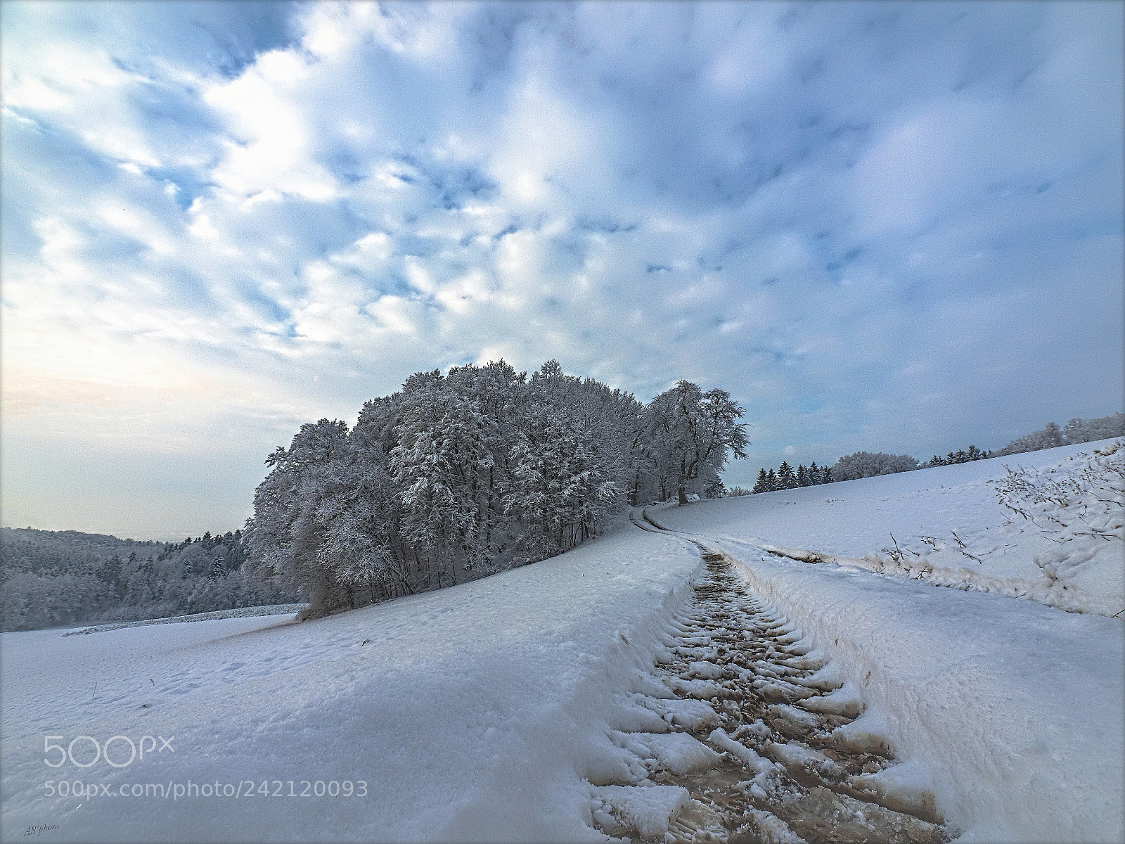 Olympus OM-D E-M1 sample photo. Snowscape photography