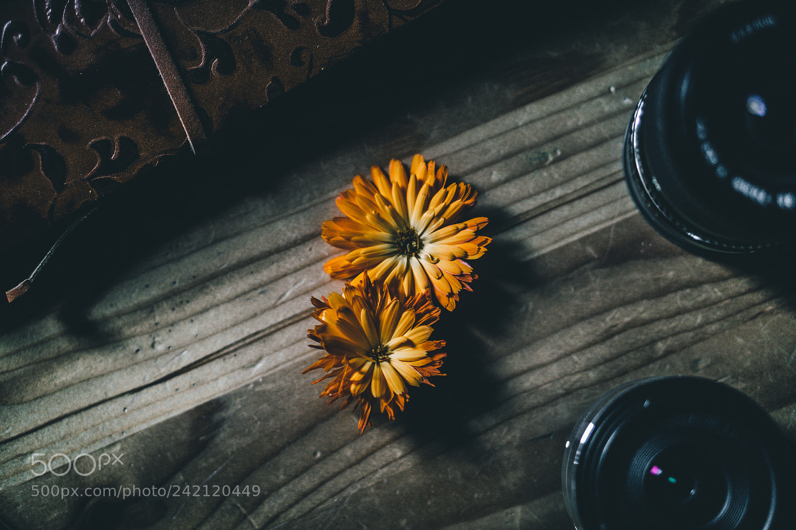 Sony a6300 sample photo. Dsc photography