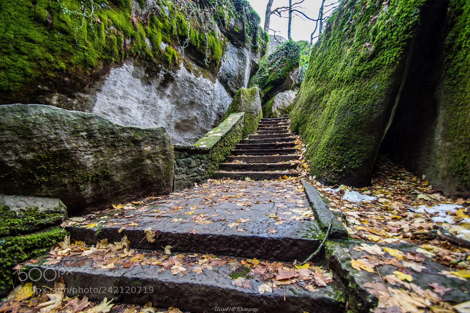Sony SLT-A68 sample photo. Stairway to heaven photography