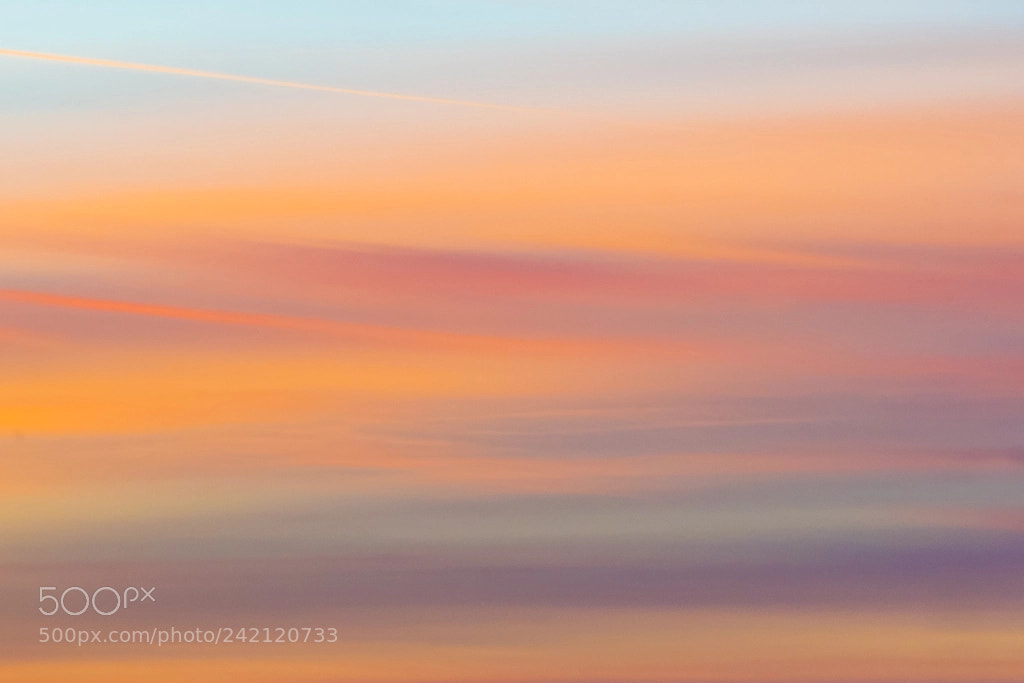 Nikon D500 sample photo. The evening sky above photography