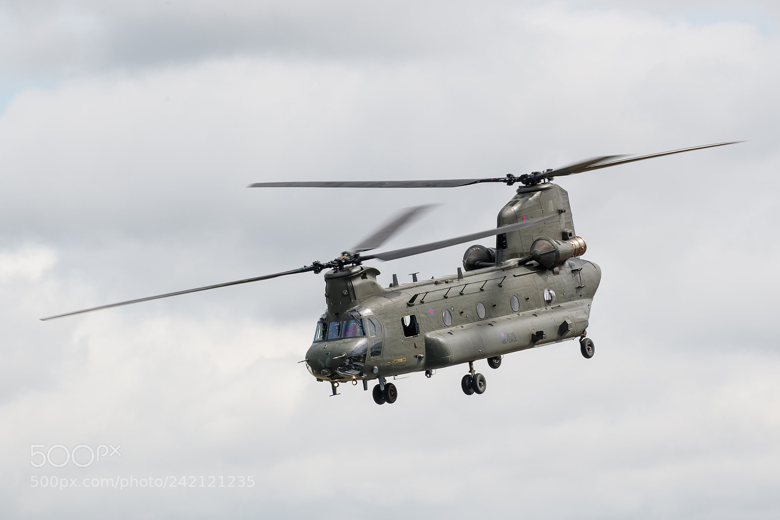 Canon EOS-1D X Mark II sample photo. Chinook photography