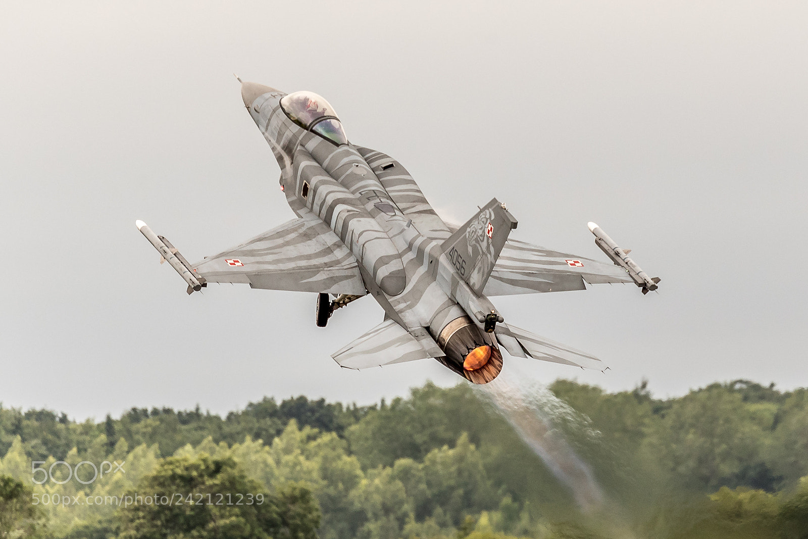 Canon EOS-1D X Mark II sample photo. Polish f16 photography