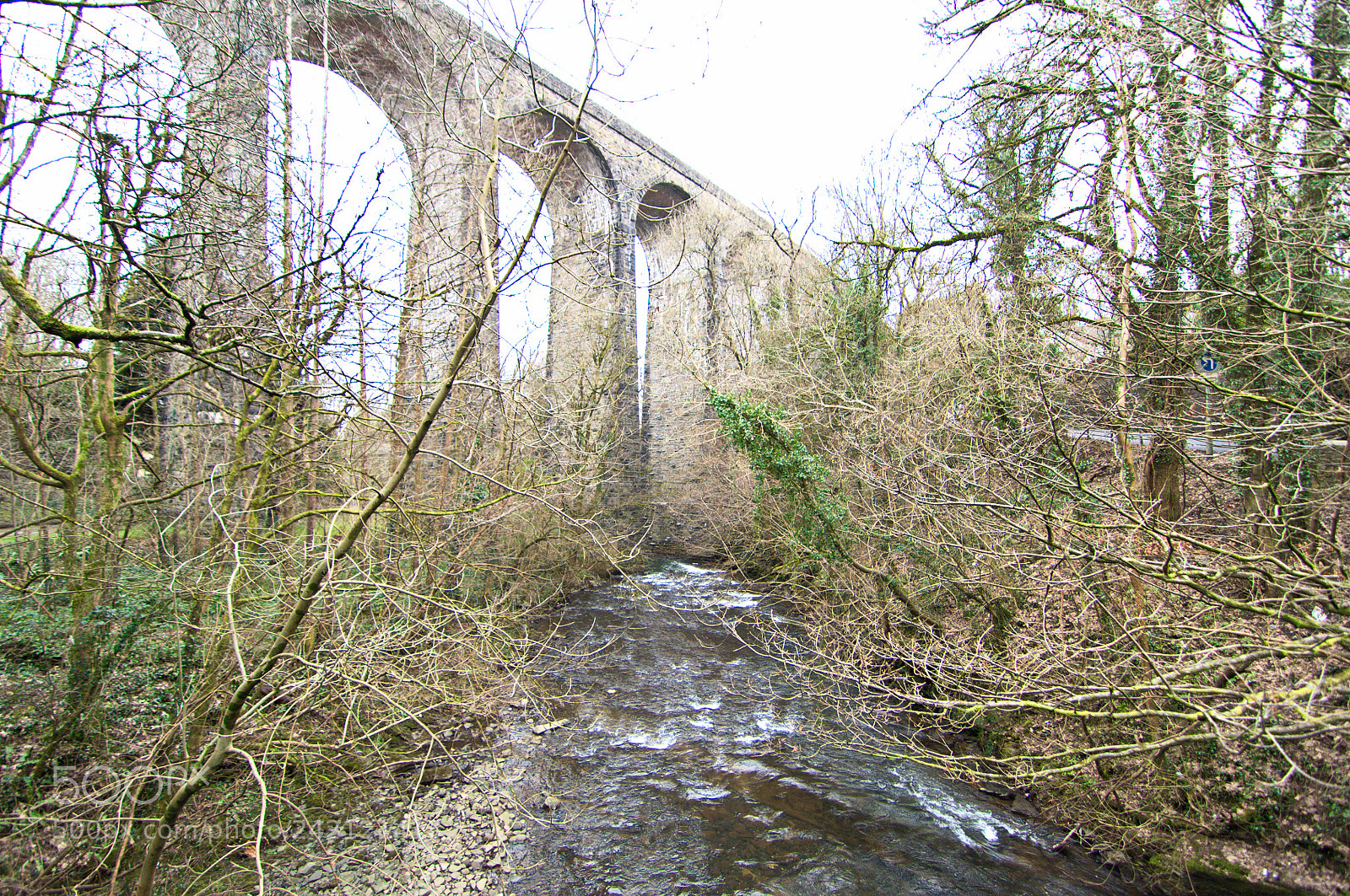 Nikon D2X sample photo. River and viaduct photography