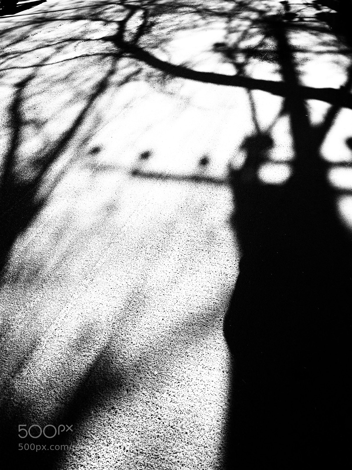 Ricoh GR II sample photo. Untitled photography