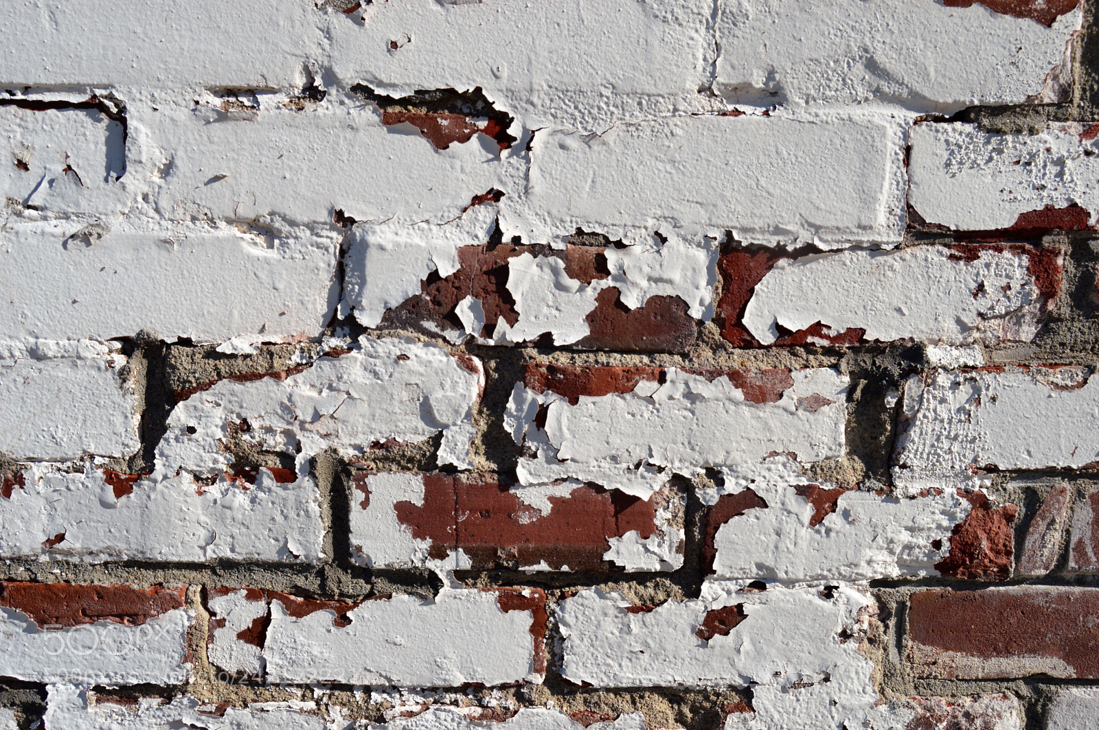 Nikon D3200 sample photo. Brick wall photography
