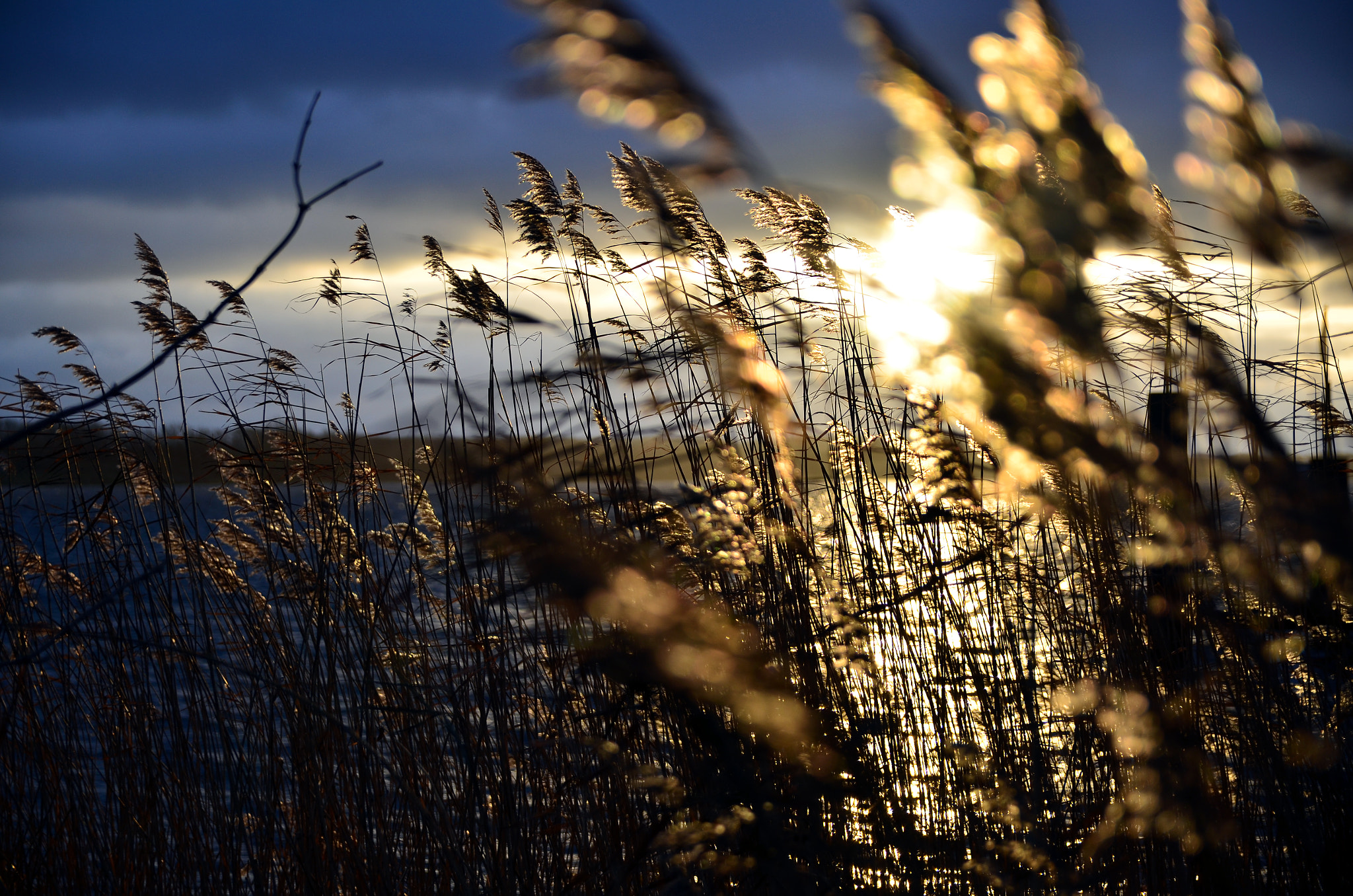 Sigma 17-50mm F2.8 EX DC OS HSM sample photo. Early bird's view photography