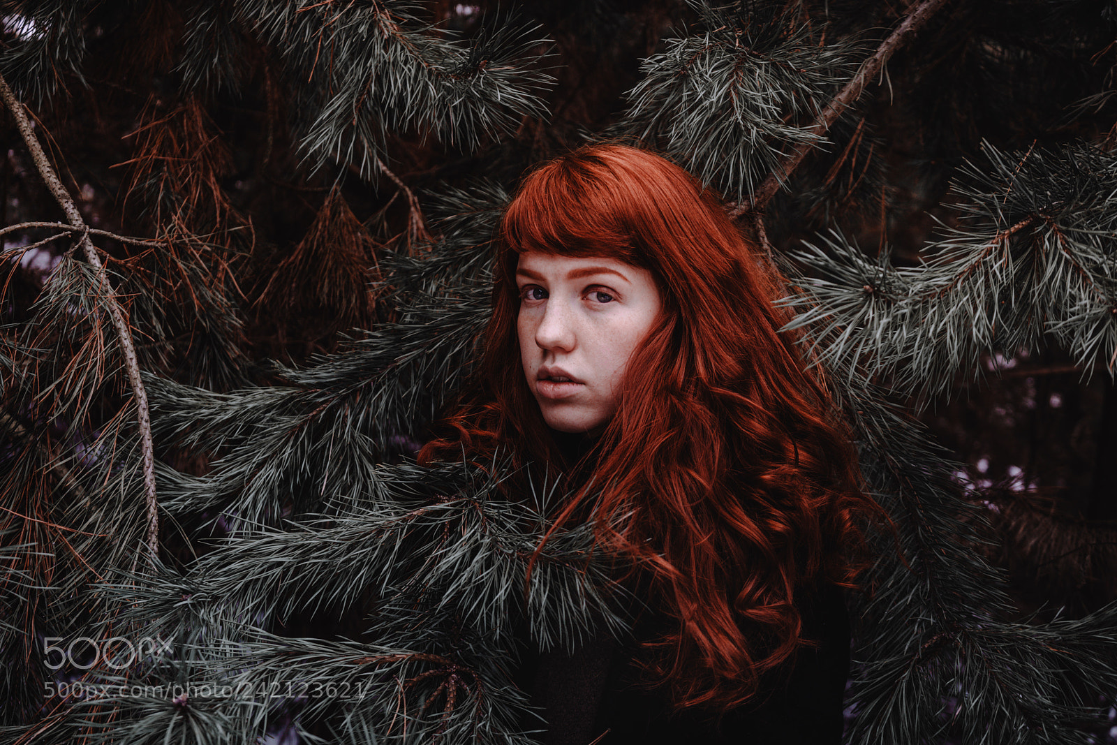Sony a7 sample photo. Ginger anna photography