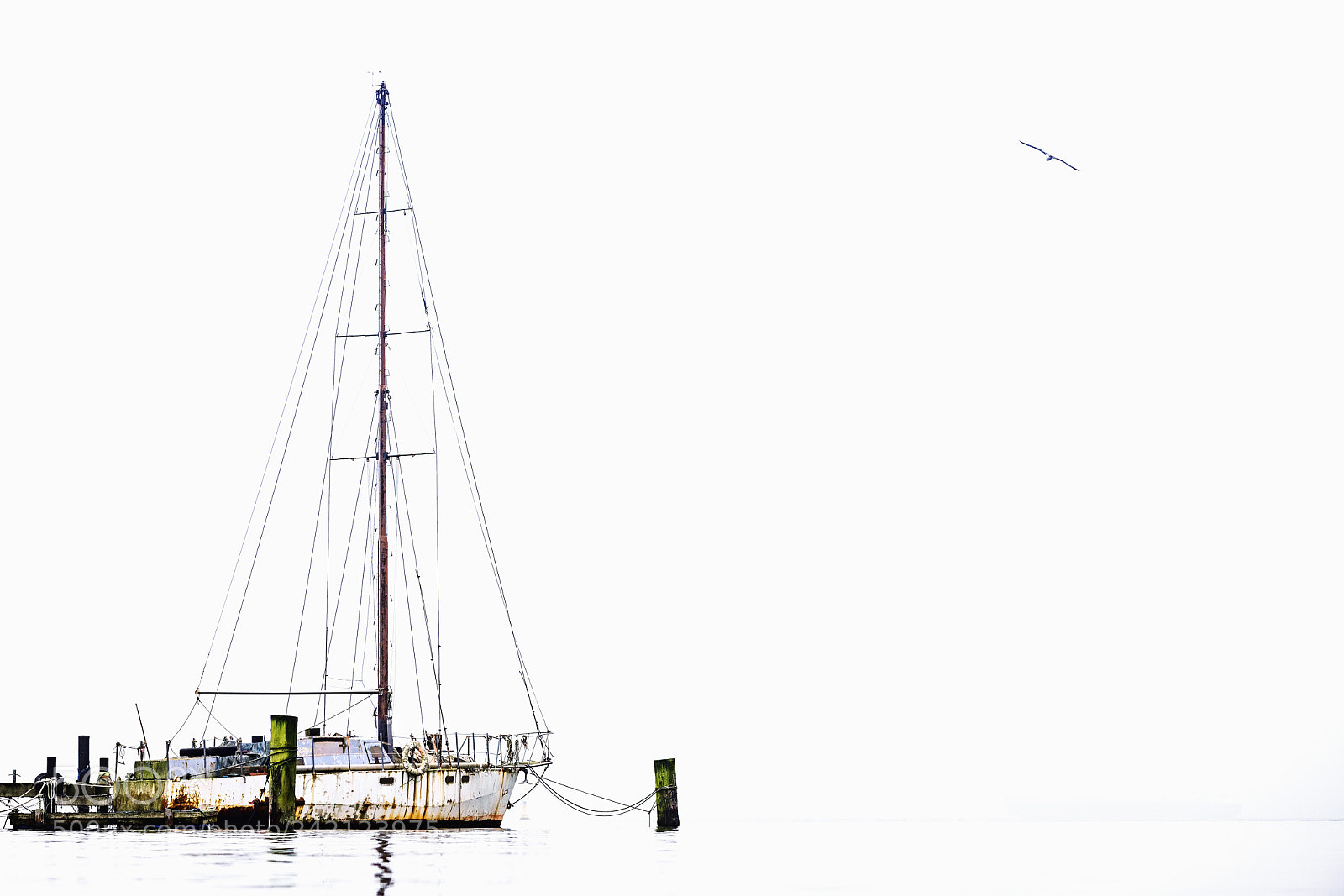 Nikon D850 sample photo. Sailing yacht has fallen photography