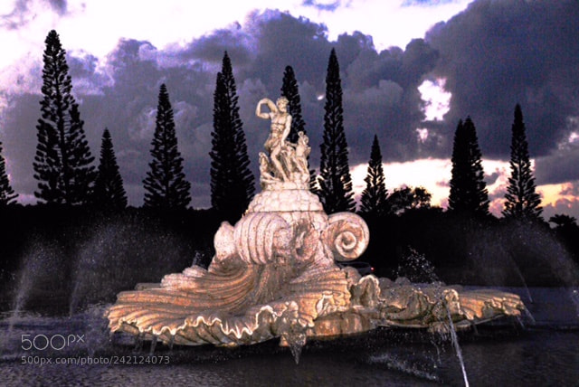 Nikon D300 sample photo. Neptune - god of photography