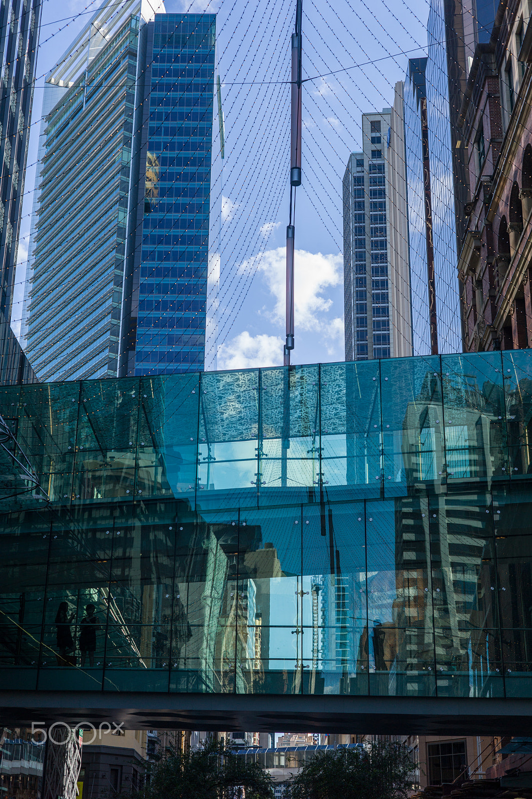 Leica M9 + Summicron-M 50mm f/2 (IV, V) sample photo. Sydney photography