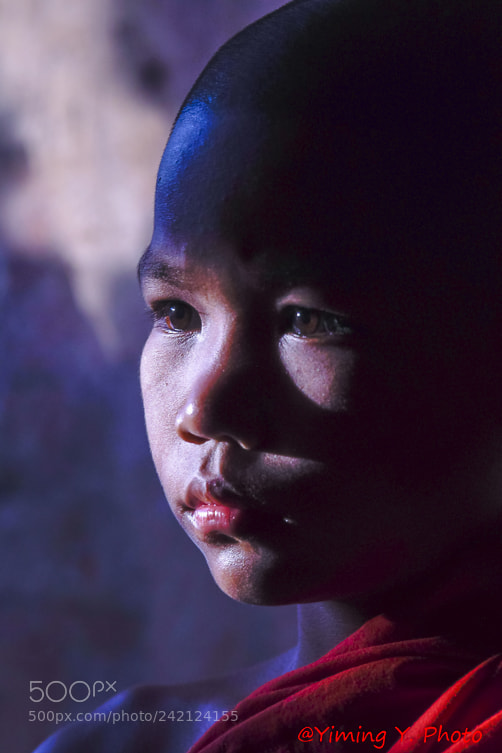 Nikon D500 sample photo. Little monks photography