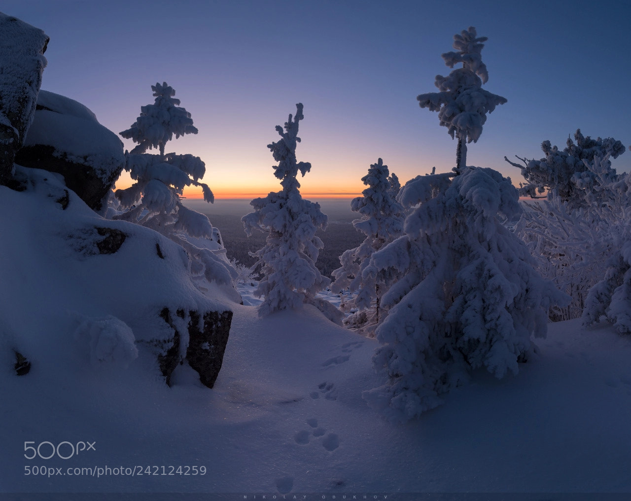 Nikon D7100 sample photo. Winter sunset 0229_0254-0263 photography
