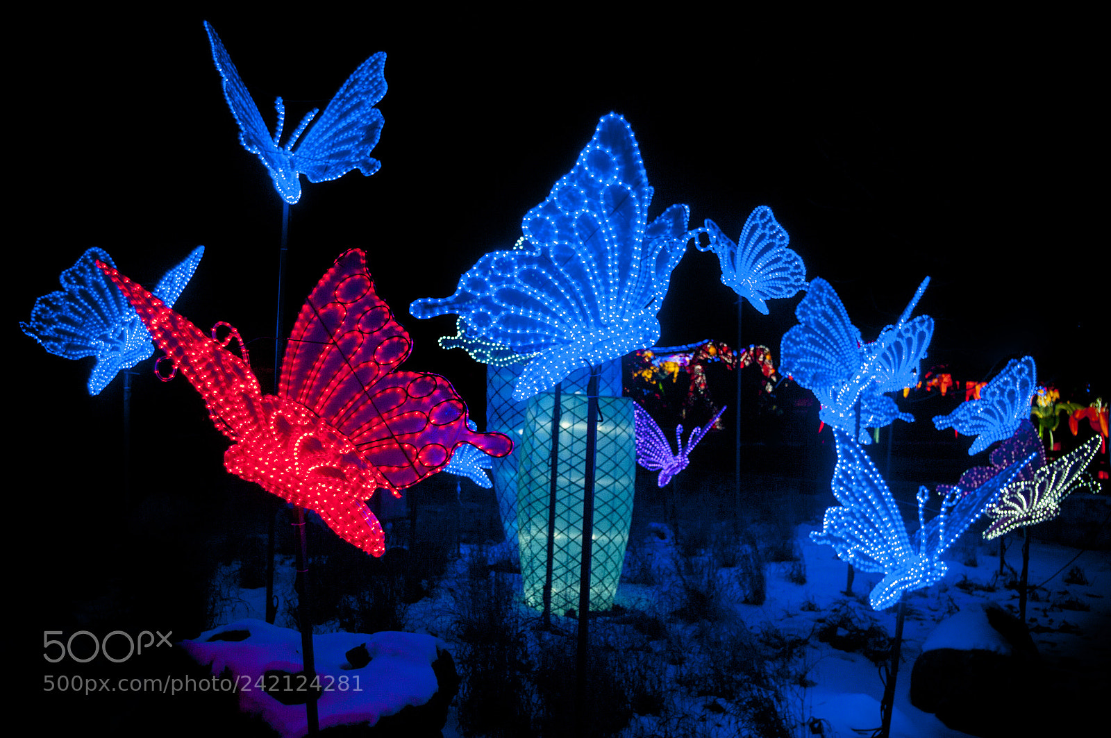 Pentax K-7 sample photo. Butterfly garden photography