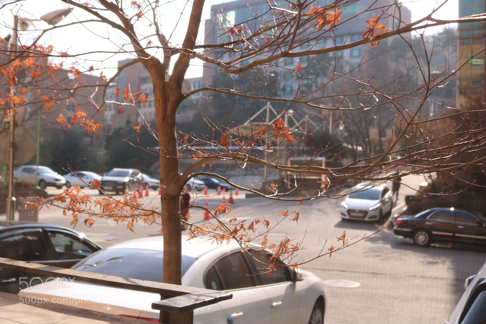 Canon EOS 750D (EOS Rebel T6i / EOS Kiss X8i) sample photo. Img photography