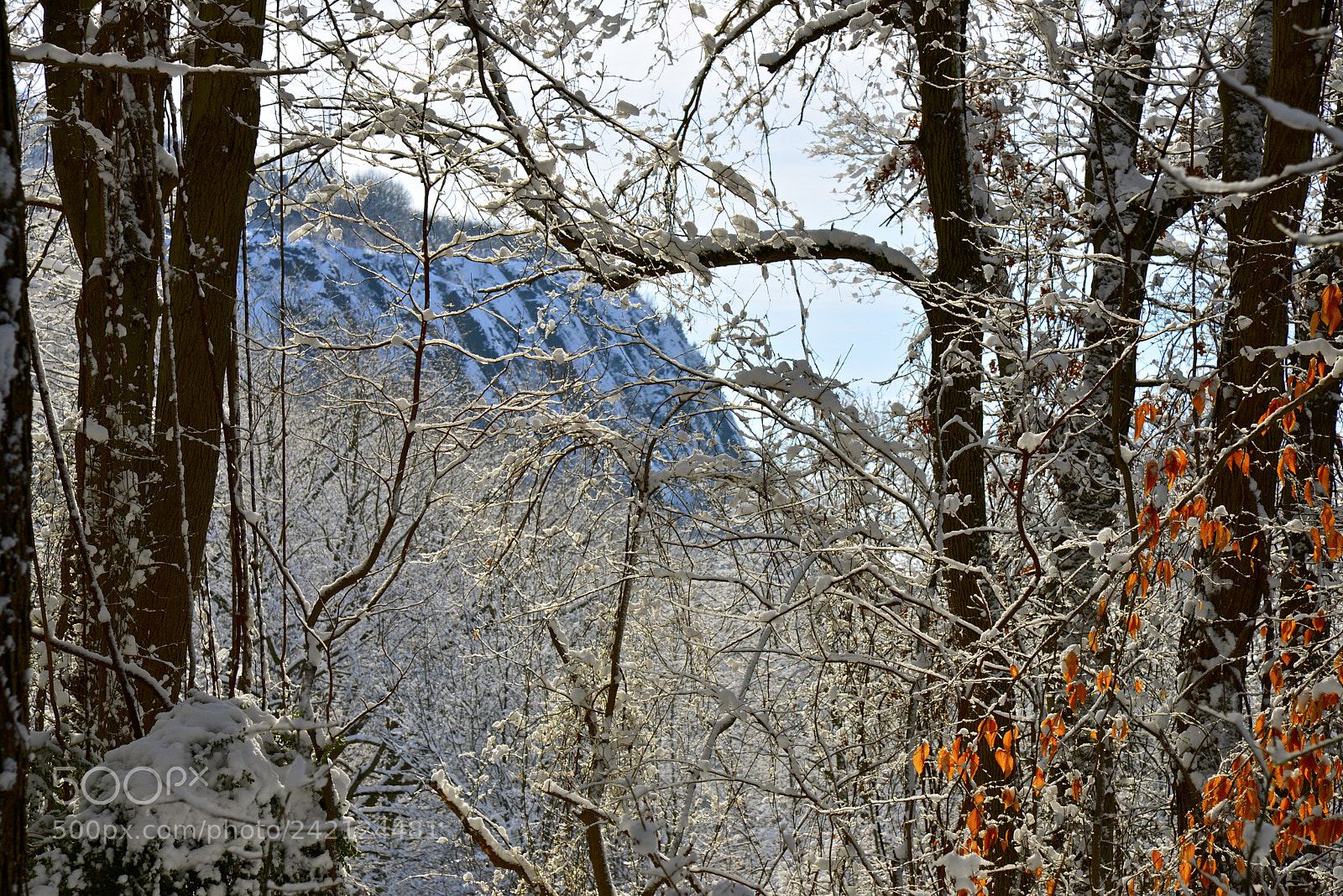Nikon D600 sample photo. Sleeping giant mountain photography