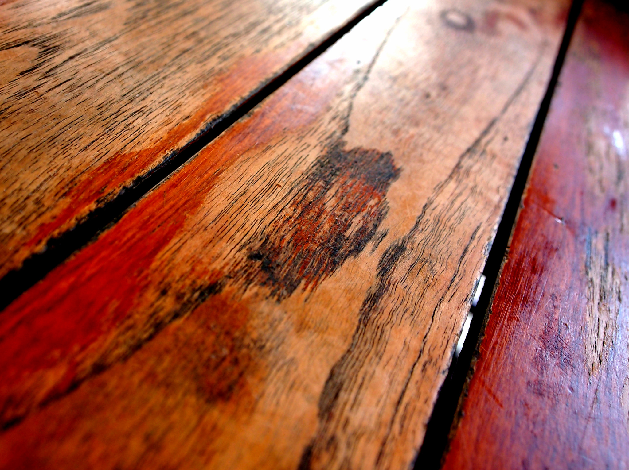 Olympus PEN E-P3 sample photo