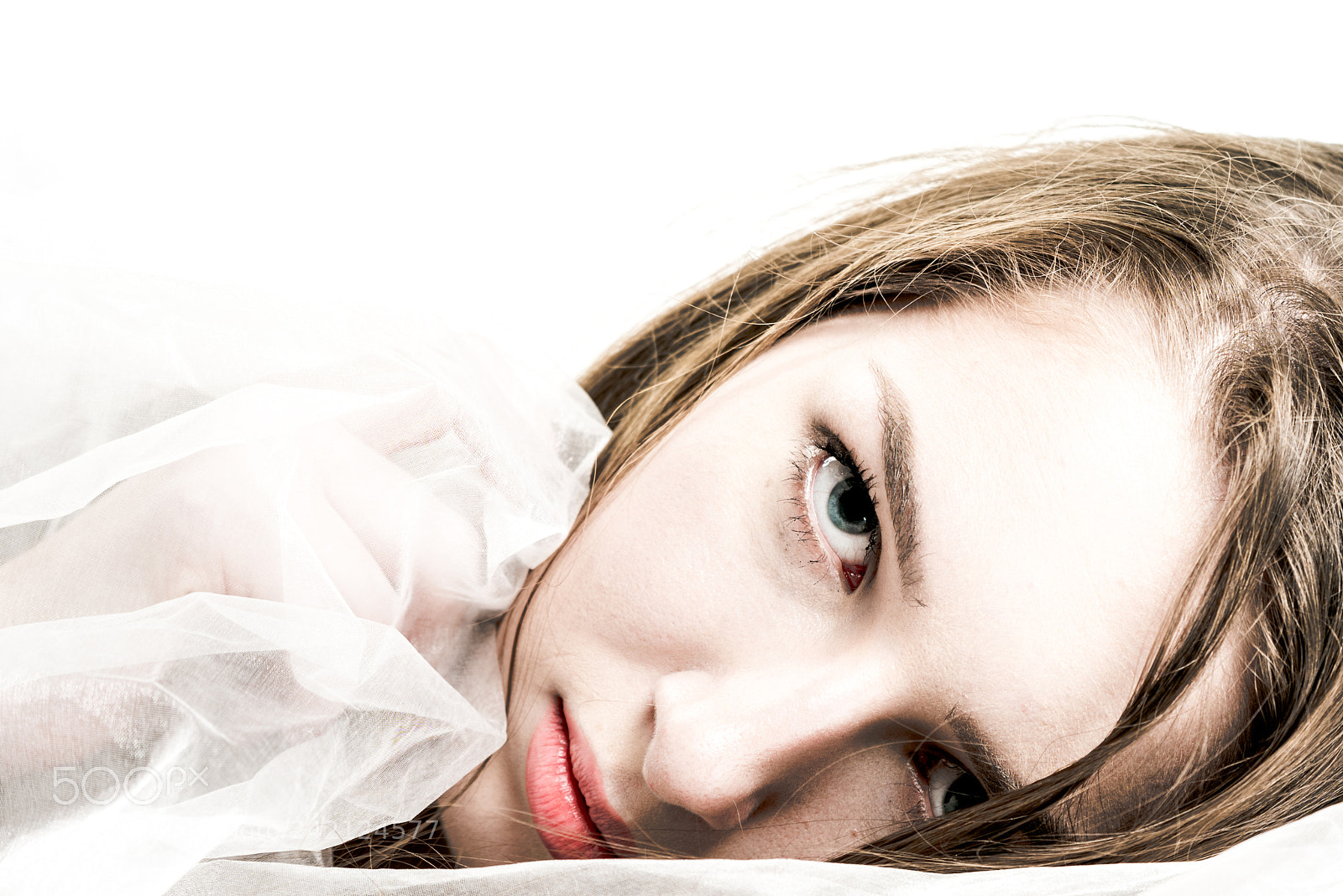 Nikon D810 sample photo. Please don't wake me photography