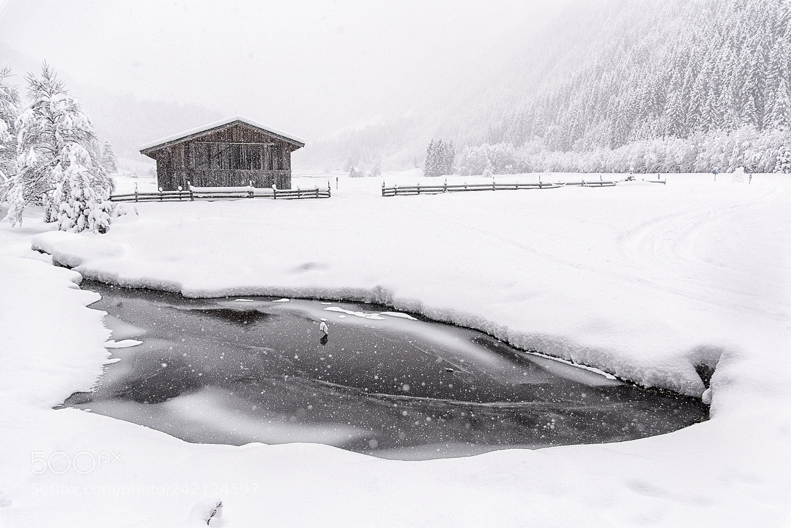 Nikon D810 sample photo. Silent and still lies photography