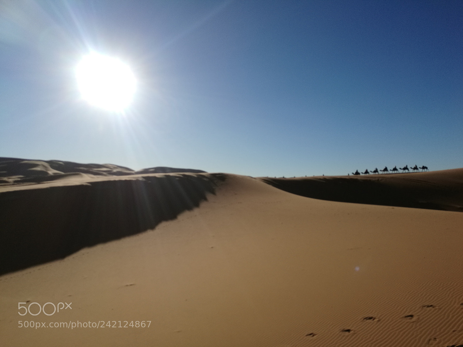 HUAWEI Mate 8 sample photo. Untitled photography