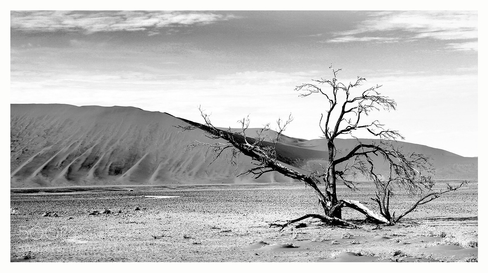 Canon EOS 50D sample photo. The namib desert photography