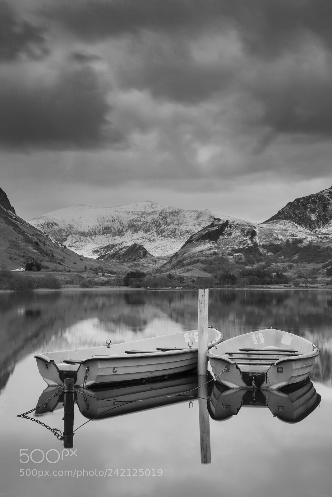 Nikon D800 sample photo. Beautiful black and white photography
