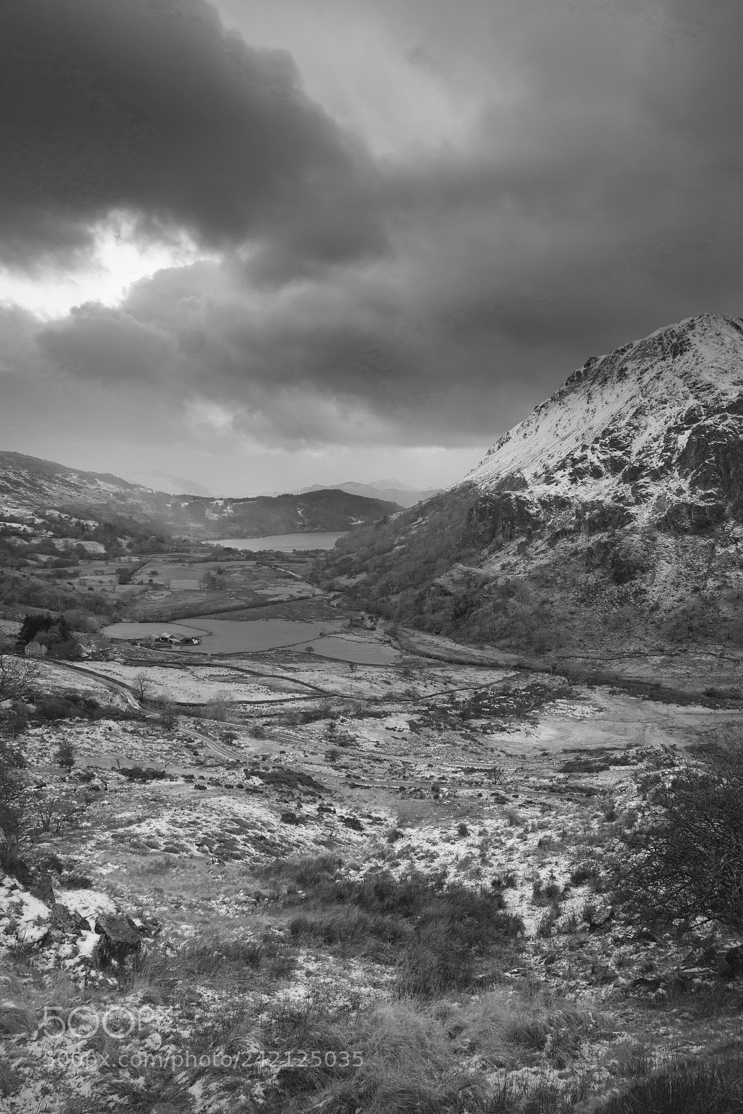 Nikon D800 sample photo. Beautiful black and white photography