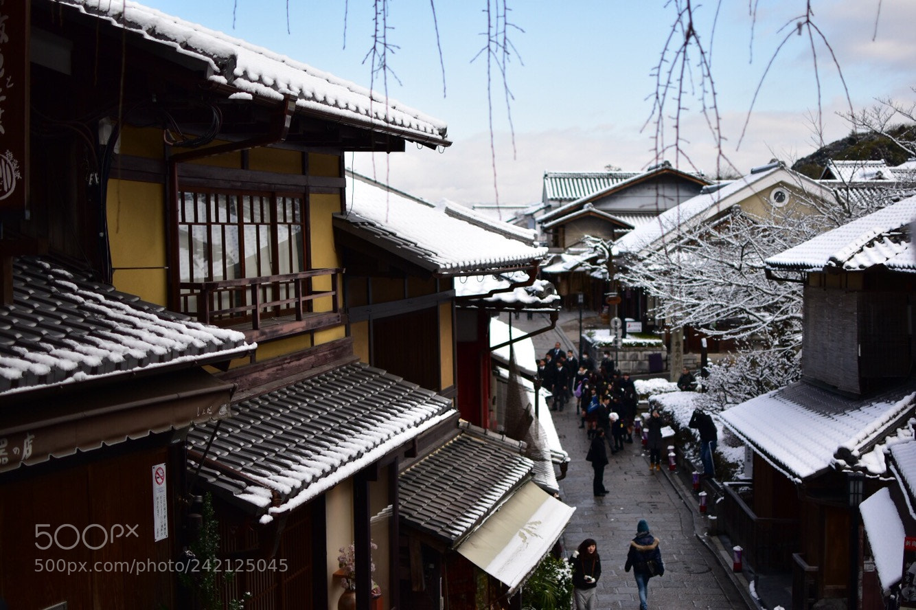 Nikon D5500 sample photo. Untitled photography