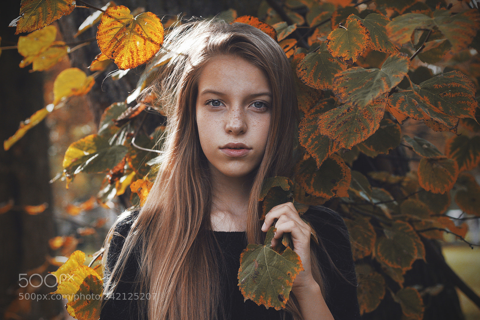 Canon EOS 60D sample photo. Autumn mood photography