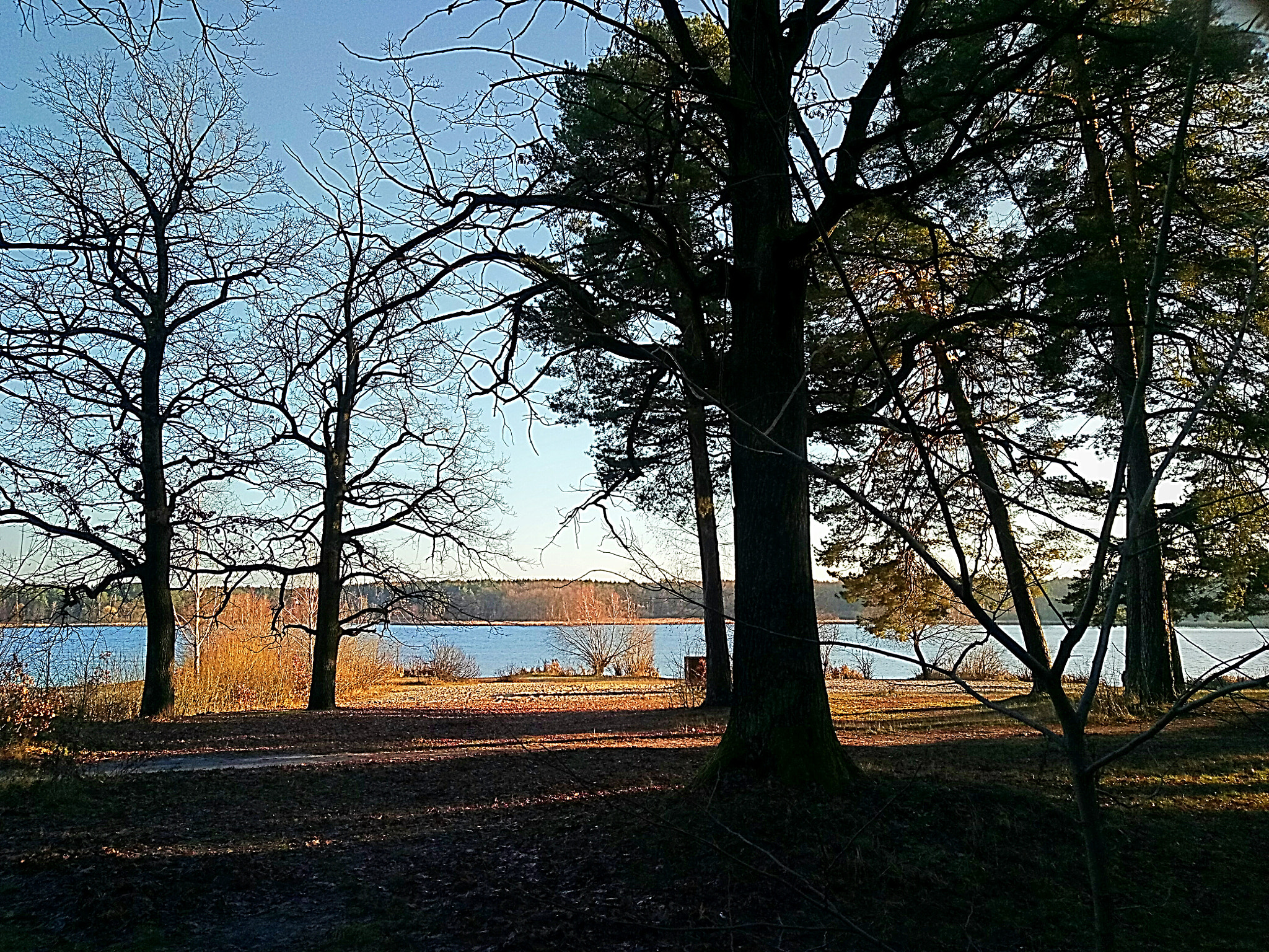 Meizu U20 sample photo