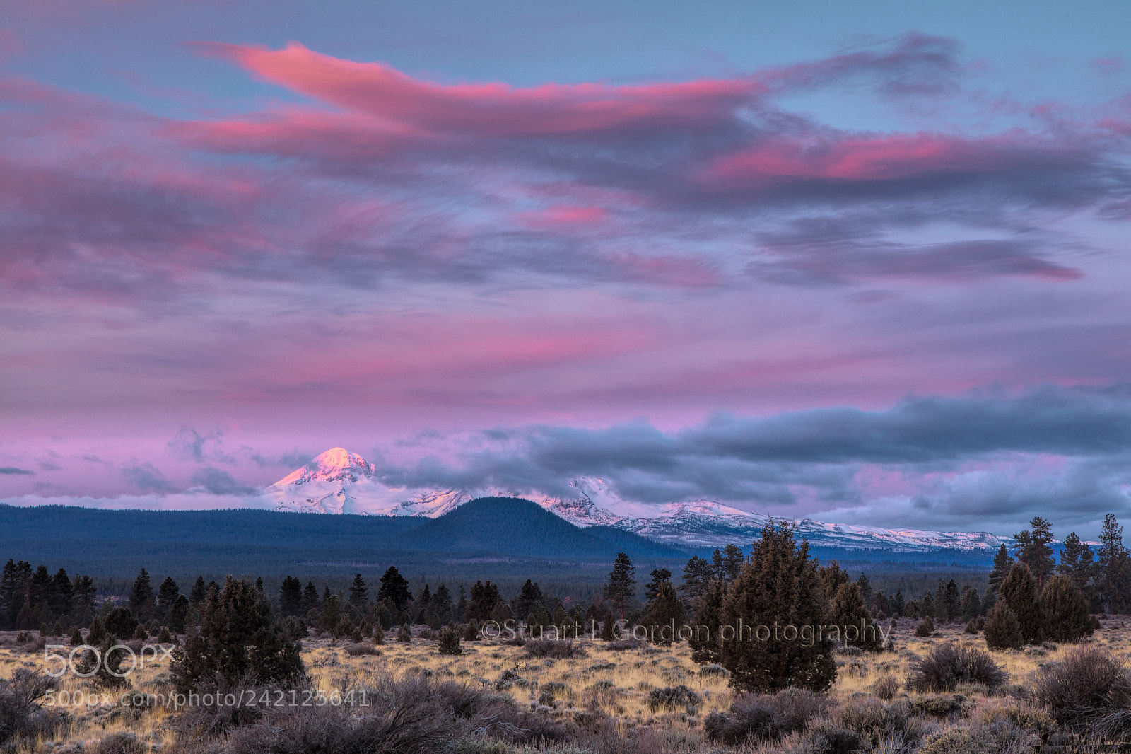 Canon EOS 5DS R sample photo. Cotton candy for breakfast photography