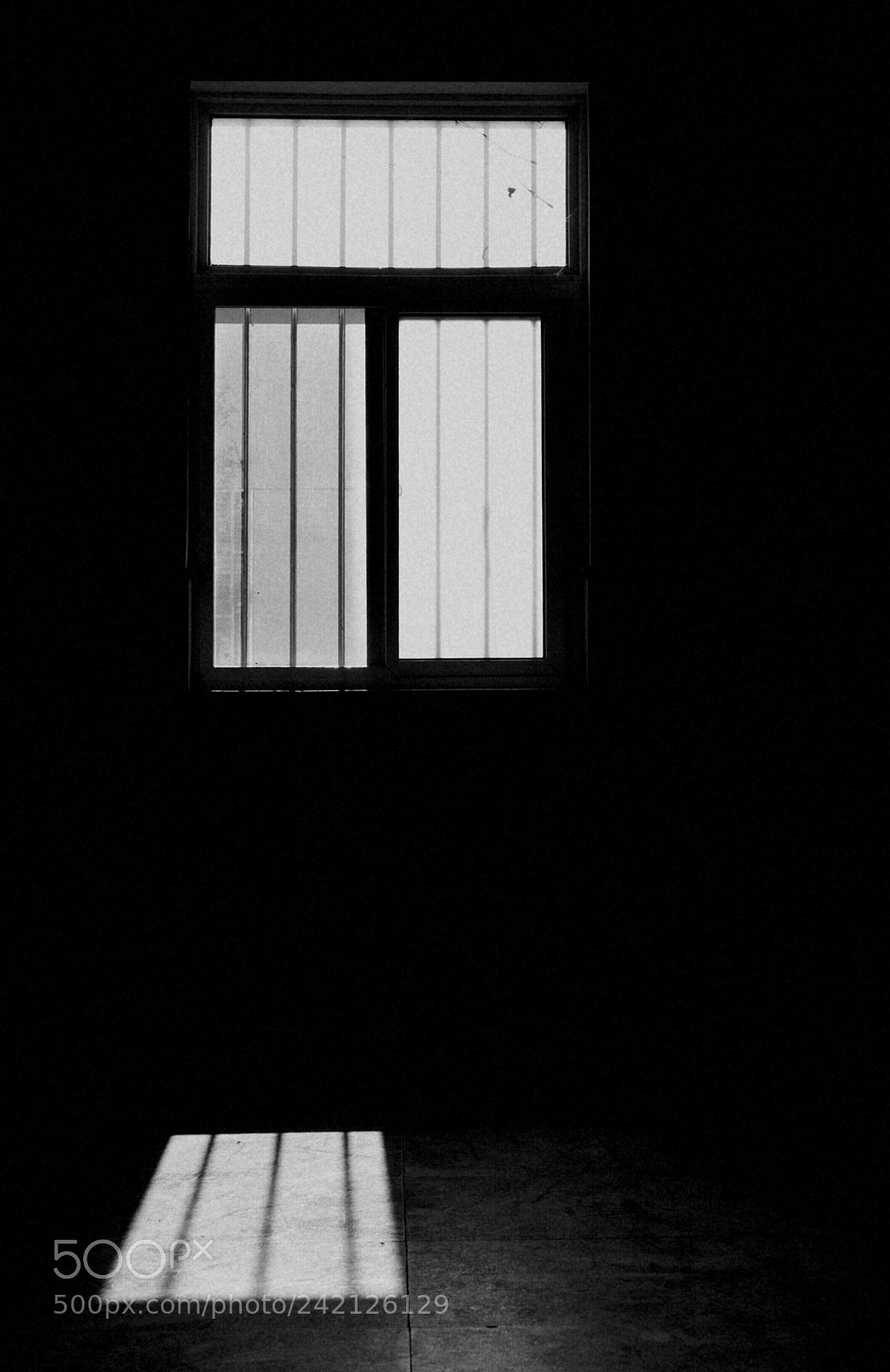 Nikon D5000 sample photo. Untitled photography